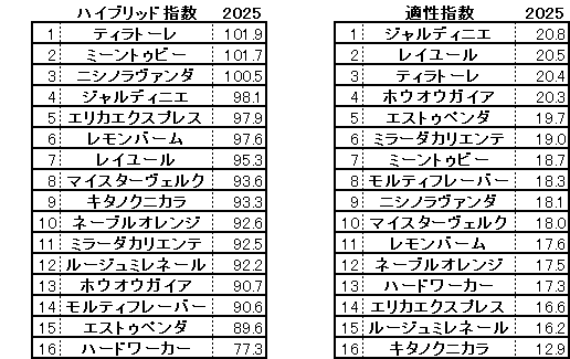 2025　フェアリーＳ　HB指数